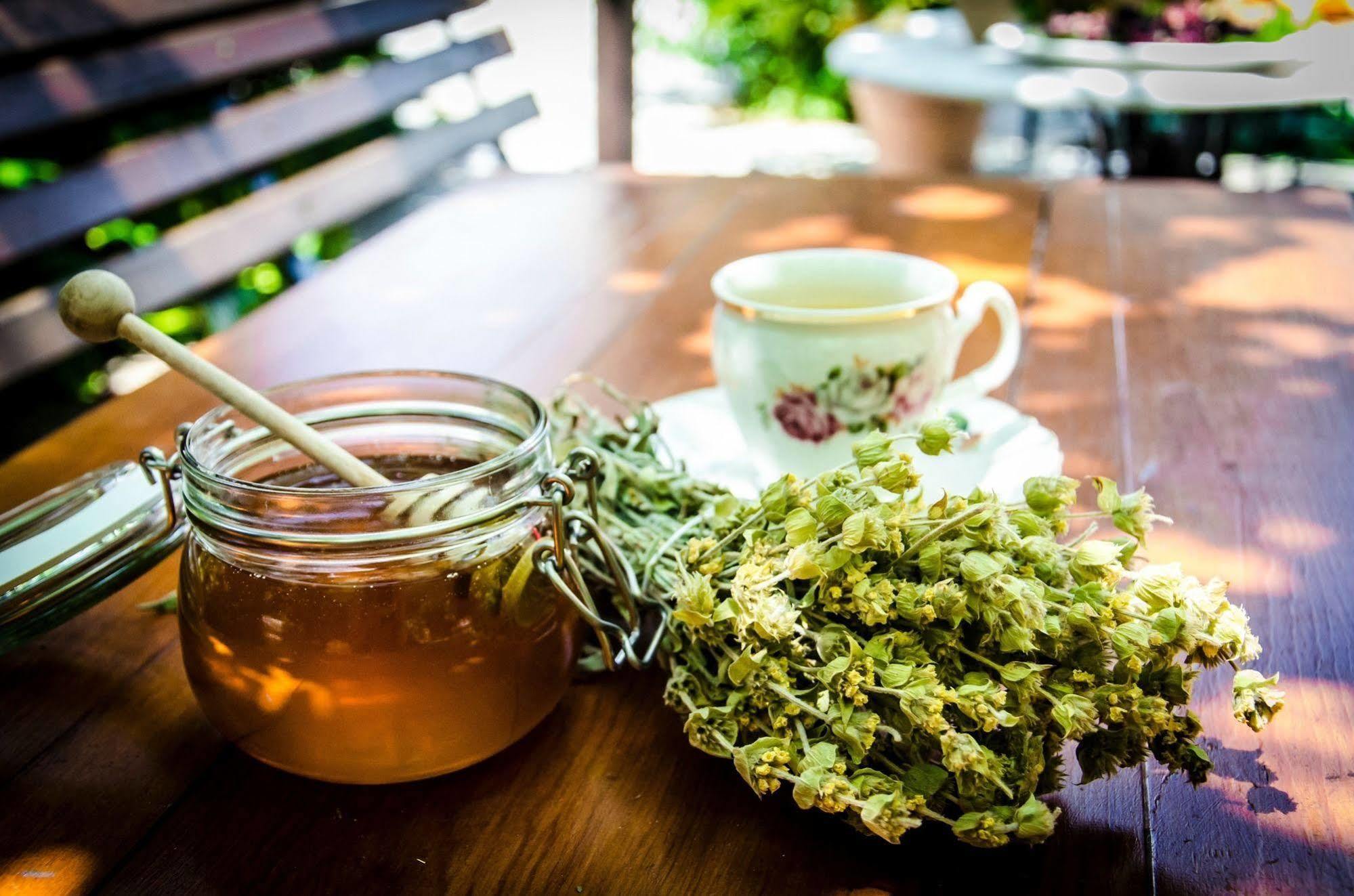 Triantafillies Guesthouse 波尔塔里亚 外观 照片