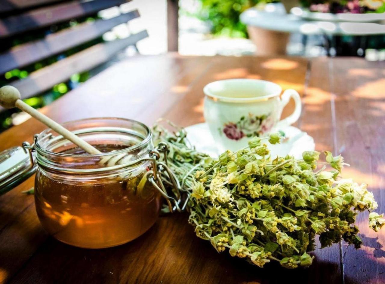 Triantafillies Guesthouse 波尔塔里亚 外观 照片